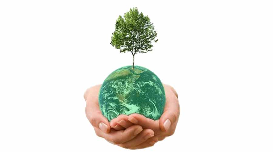 Conference series earth and environmental science